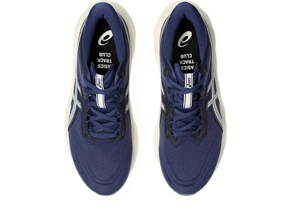 Asics Novablast 5 Indigo Blue Seal Grey
